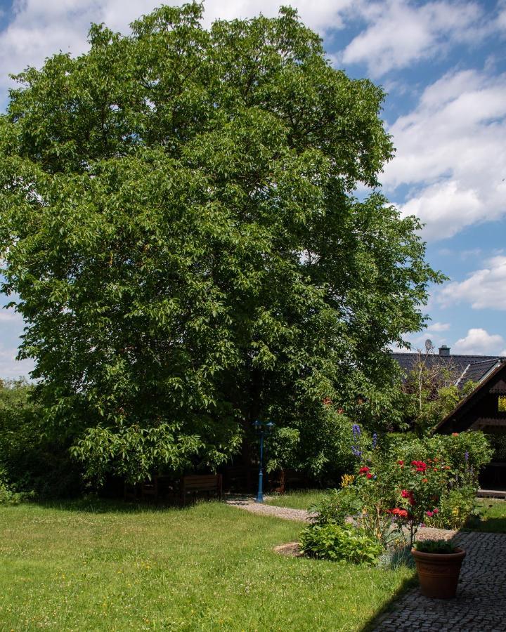 Ostrauer Hof * Bad Schandau